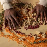 pexels cottonbro 6805066