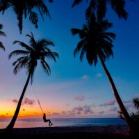 pexels photo 3293148