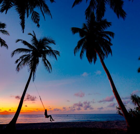 pexels photo 3293148