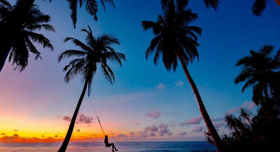 pexels photo 3293148