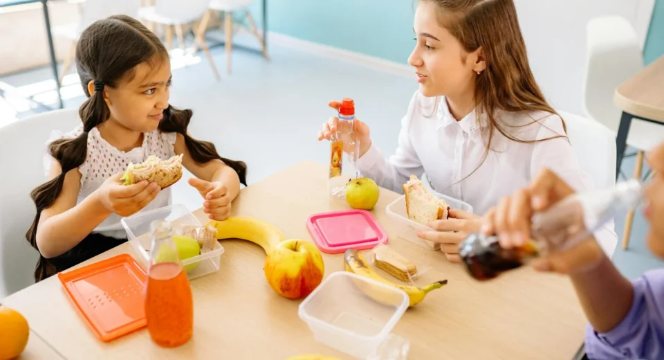 pexels photo 8617558