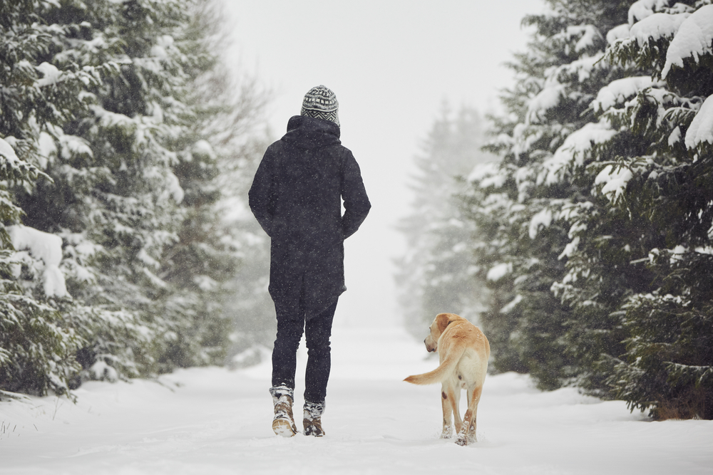 12 Walking Goals for Winter That Feel Realistic and Motivating