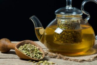 Fennel Seeds – Benefits, Nutrition, and Weight Loss