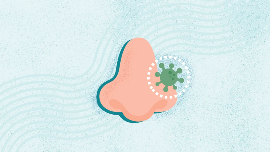 What Is a Sinus Infection?