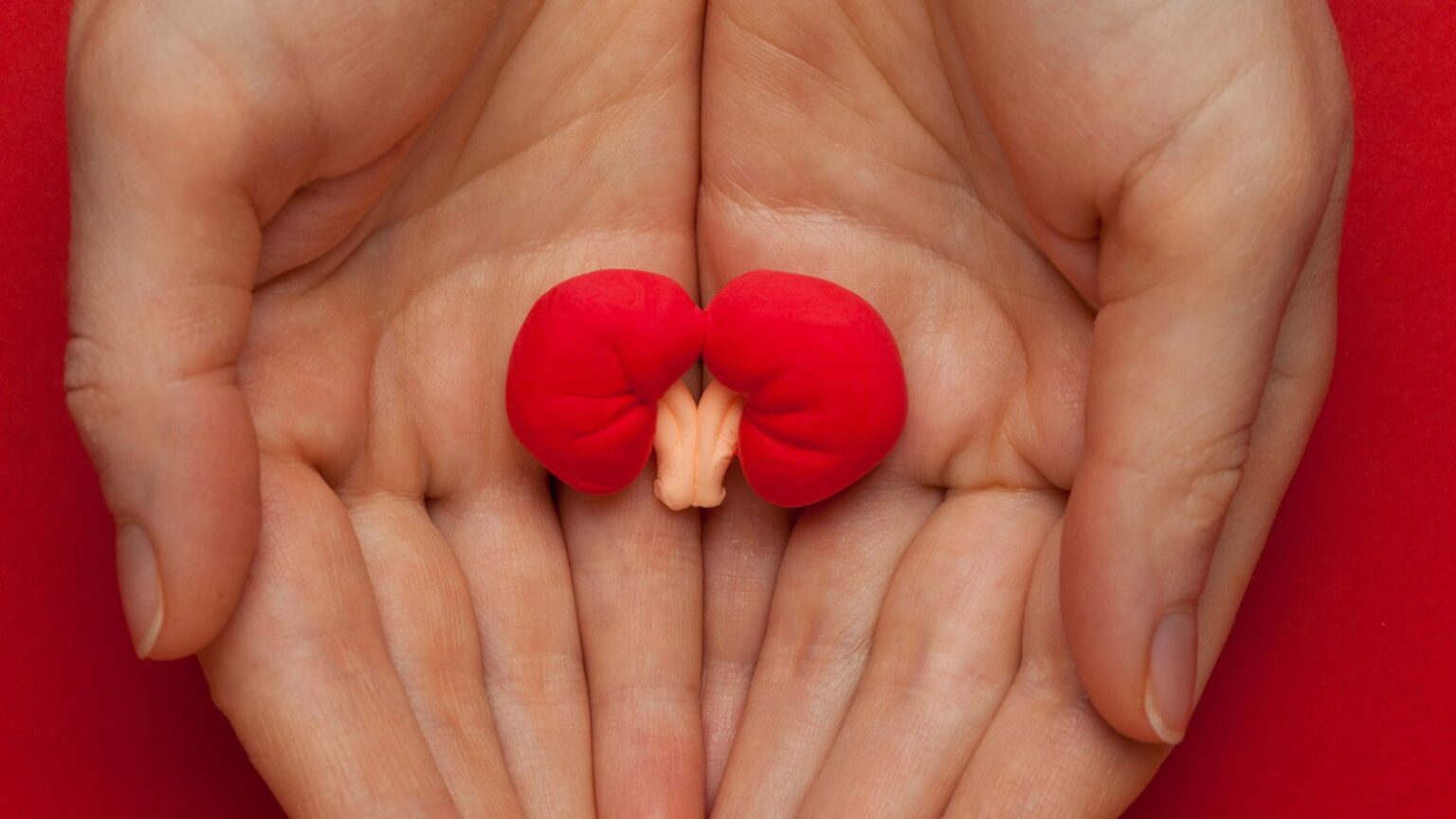 Are your kidneys in danger? Do not ignore these signs of silent kidney disease, warns doctor