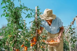 Keeping Cool: A Guide to Managing Early-Stage Alzheimer’s in Heat and Humidity